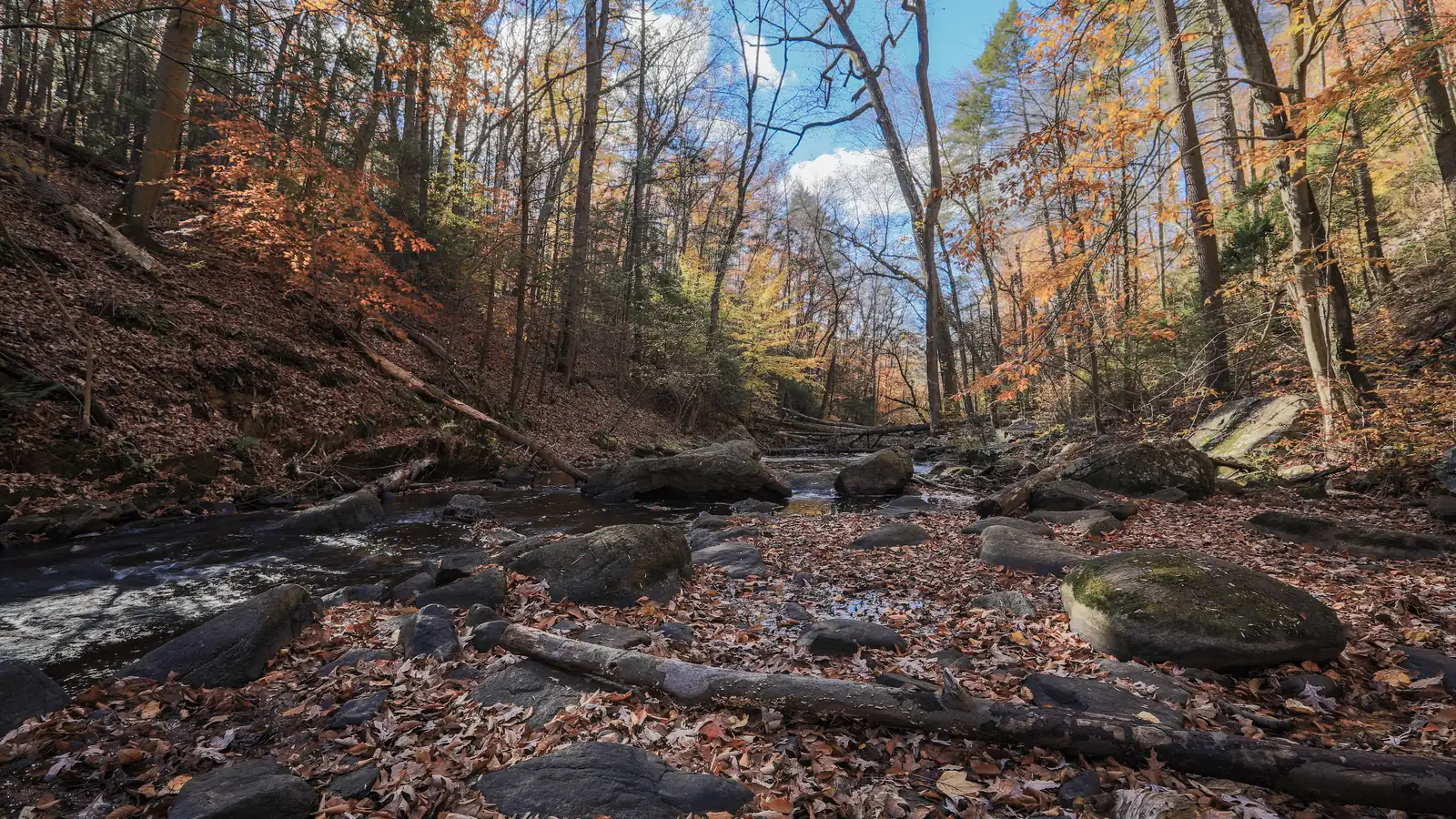 The Black River in its wooded gorge at Hacklebarney, Chester Township, New Jersey